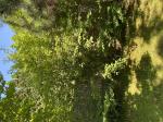 Foto img_3929_1785143406.jpeg
