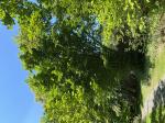 Foto img_3940_1784881501.jpeg