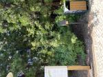 Foto img_4003_1787230770.jpeg