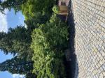 Foto img_4019_1787062909.jpeg