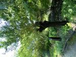 Foto img_4026_1787134838.jpeg