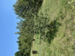 Foto img_4048_1787216011.jpeg