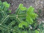 Foto img_4085_1782915524.jpeg