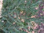 Foto img_7366_1744054389.jpeg