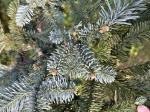 Foto img_7392_1744055767.jpeg