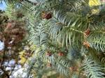 Foto img_7434_1744057098.jpeg