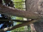Foto img_7443_1744057651.jpeg