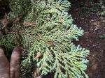 Foto img_7446_1744057686.jpeg