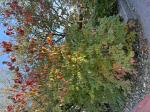 Foto img_7860_1744117451.jpeg