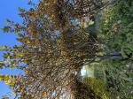 Foto img_7868_1744117773.jpeg