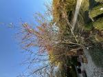 Foto img_7874_1744117876.jpeg