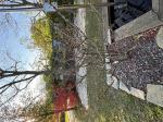 Foto img_7893_1744118431.jpeg