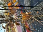 Foto img_7919_1744118896.jpeg
