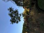 Foto img_7942_1744119328.jpeg