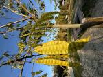 Foto img_7945_1744119411.jpeg