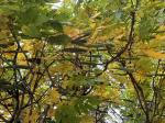 Foto img_7954_1744119617.jpeg