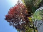 Foto img_7981_1744119954.jpeg
