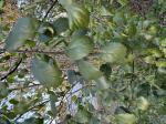 Foto img_8102_1744121788.jpeg