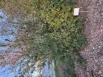 Foto img_8103_1744121767.jpeg