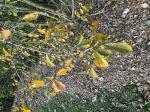 Foto img_8105_1744121863.jpeg